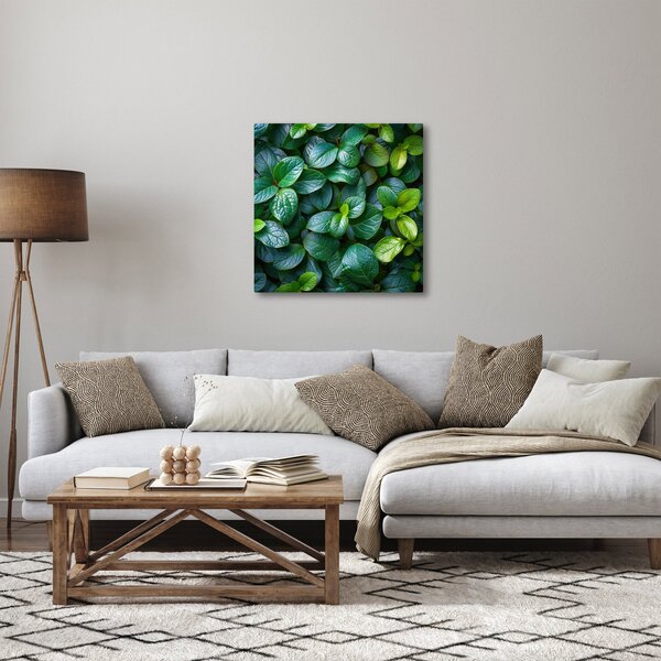 Obraz - Zelené rostliny (30x30 cm)