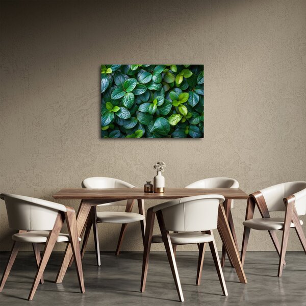Obraz - Zelené rostliny (70x50 cm)