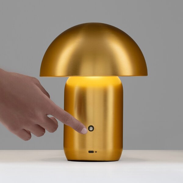 Nova Luce Zlatá kovová nabíjecí stolní LED lampa Pois