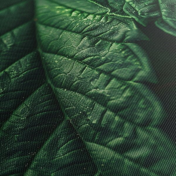 Obraz - Detail listu (210x100 cm)
