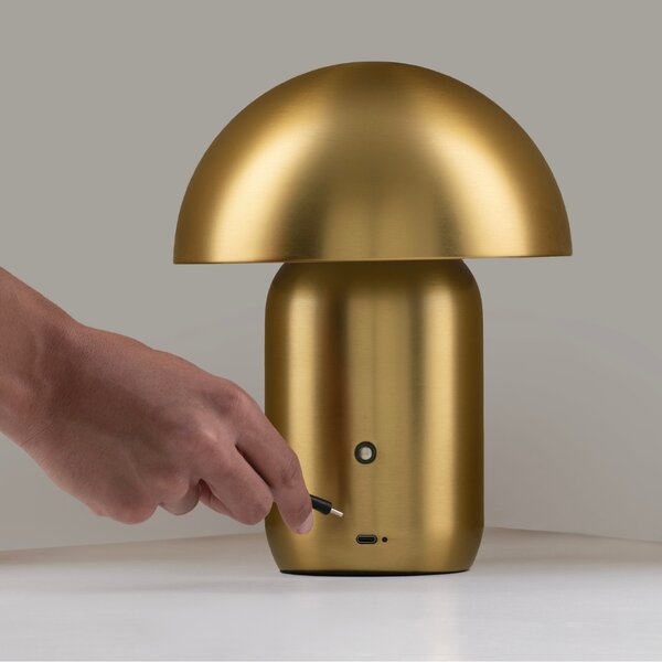 Nova Luce Zlatá kovová nabíjecí stolní LED lampa Pois