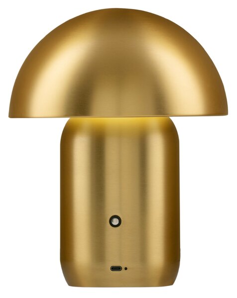 Nova Luce Zlatá kovová nabíjecí stolní LED lampa Pois