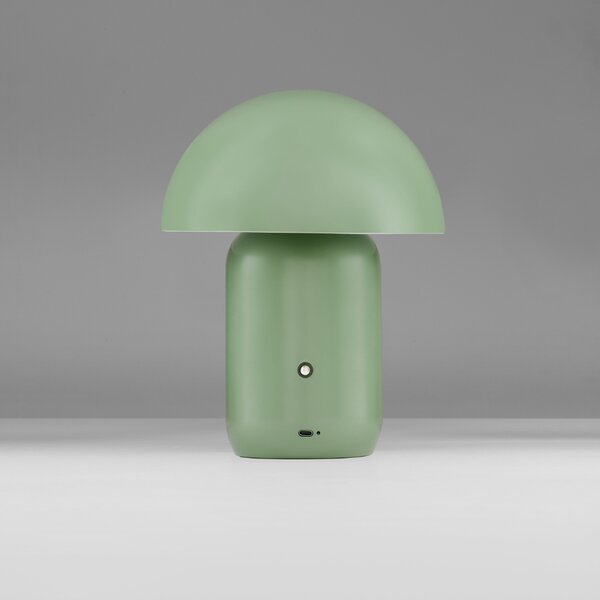 Nova Luce Zelená kovová nabíjecí stolní LED lampa Pois