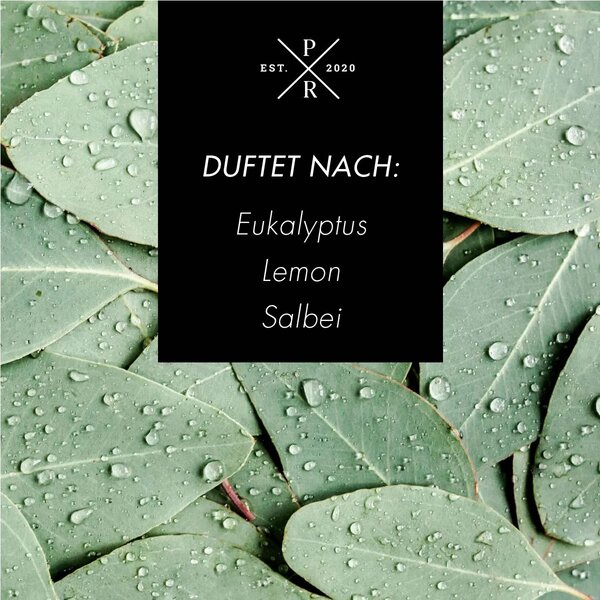 Purple River Vonné tyčinky Difuzér Eucalyptus & Lemongrass - 100ml