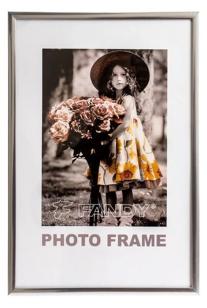 FANDY Plastový rámeček Simple 2 21x29,7 3 stříbrný