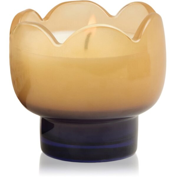 Paddywax Tulip Garden & Grove vonná svíčka 155 g
