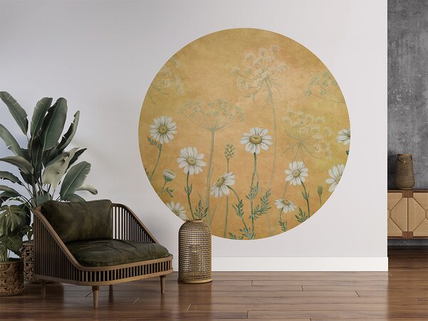 FUGU Kruhová tapeta Žluté kopretiny – Dazzling Daisies Yellow Rozměr: kruh 40 cm