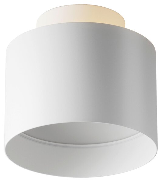 STROPNÍ SVÍTIDLO, 10/9,2 cm - Online Only svítidla, Online Only