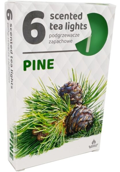 Čajové 6ks Pine vonné svíčky