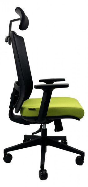 Kancelářská ergonomická židle DVIS — více barev Černá