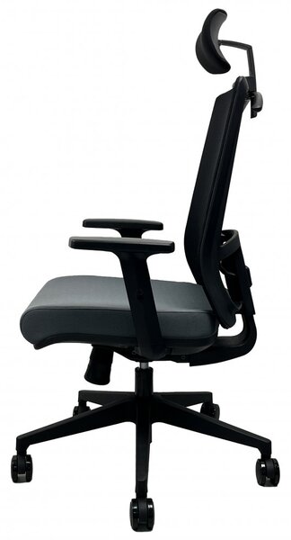 Kancelářská ergonomická židle DVIS — více barev Černá