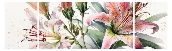 Obraz - Lilie, ilustrace (170x50 cm)