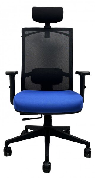 Kancelářská ergonomická židle DVIS — více barev Černá