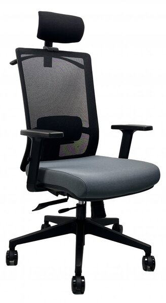 Kancelářská ergonomická židle DVIS — více barev Černá
