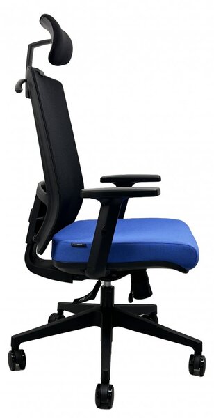 Kancelářská ergonomická židle DVIS — více barev Černá