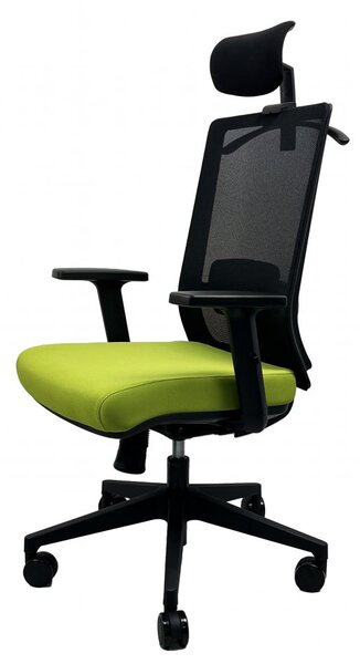 Kancelářská ergonomická židle DVIS — více barev Černá