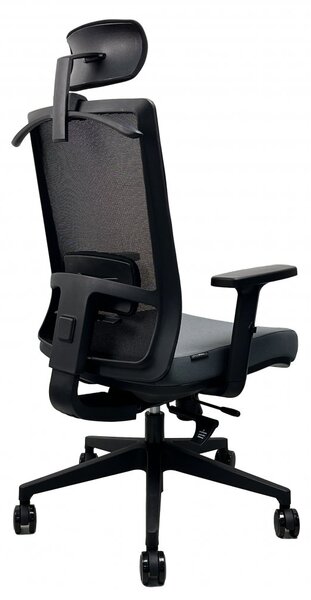 Kancelářská ergonomická židle DVIS — více barev Černá