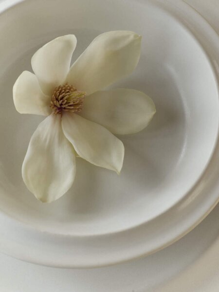 Bolia Servírovací talíř Edge Serving Plate Ecru Stoneware, 21x30 cm