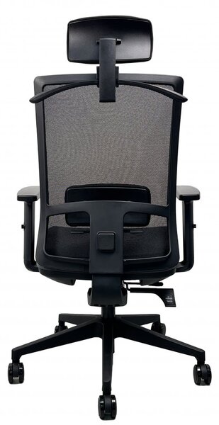 Kancelářská ergonomická židle DVIS — více barev Černá