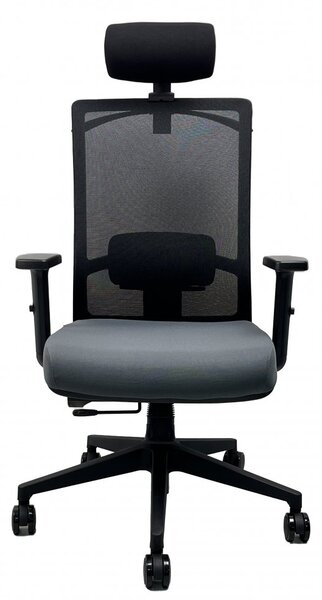 Kancelářská ergonomická židle DVIS — více barev Černá
