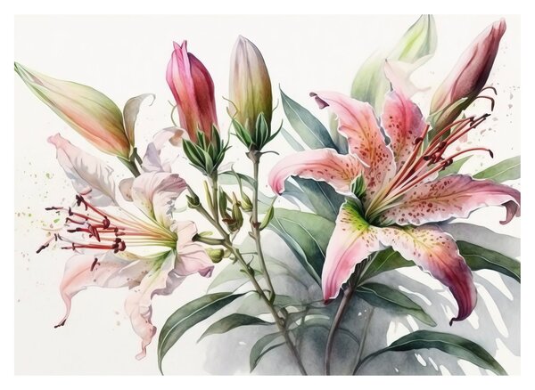 Obraz - Lilie, ilustrace (70x50 cm)