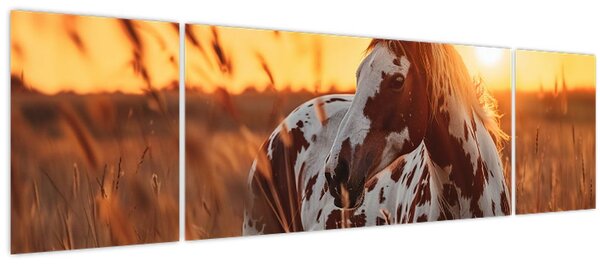 Obraz - Kůň při západu slunce (170x50 cm)