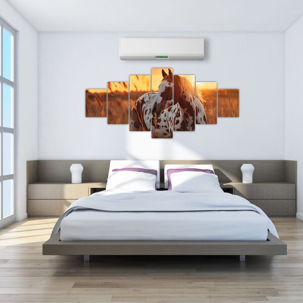 Obraz - Kůň při západu slunce (210x100 cm)