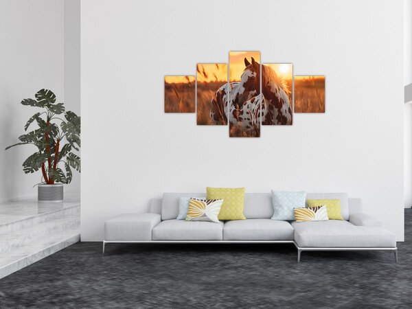 Obraz - Kůň při západu slunce (125x70 cm)
