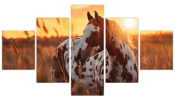 Obraz - Kůň při západu slunce (125x70 cm)