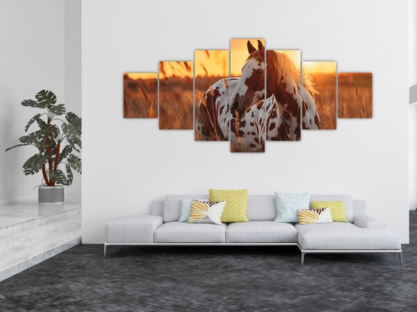 Obraz - Kůň při západu slunce (210x100 cm)