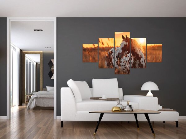 Obraz - Kůň při západu slunce (125x70 cm)