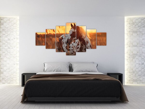 Obraz - Kůň při západu slunce (210x100 cm)