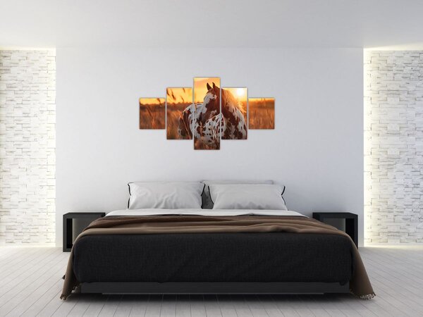 Obraz - Kůň při západu slunce (125x70 cm)