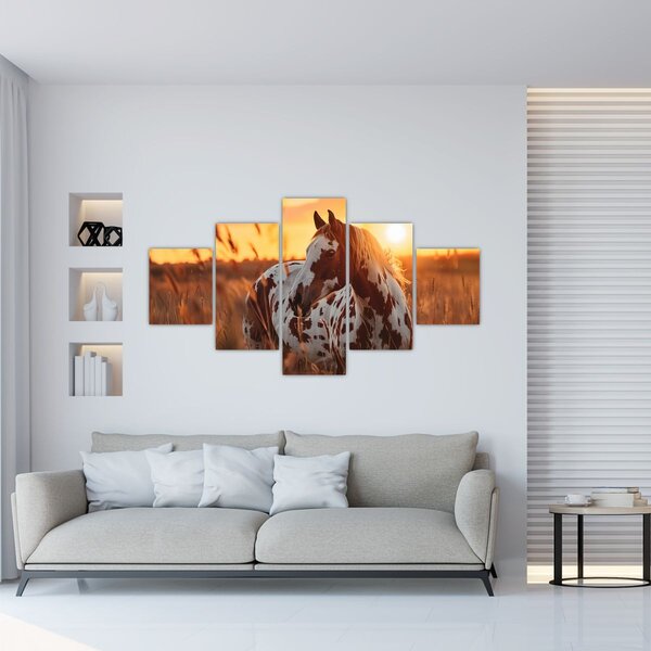 Obraz - Kůň při západu slunce (125x70 cm)