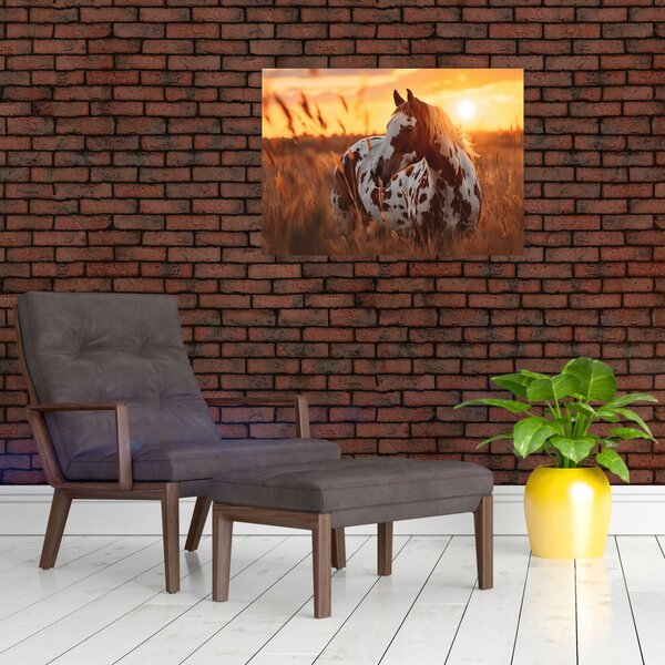 Obraz - Kůň při západu slunce (70x50 cm)