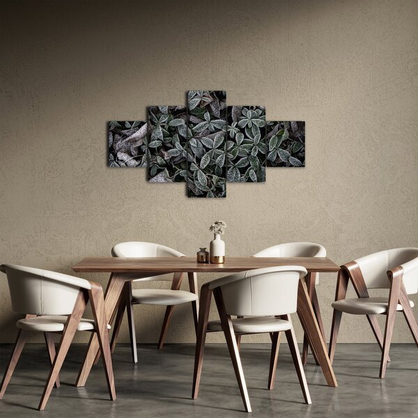 Obraz - Zmrzlé rostliny (125x70 cm)