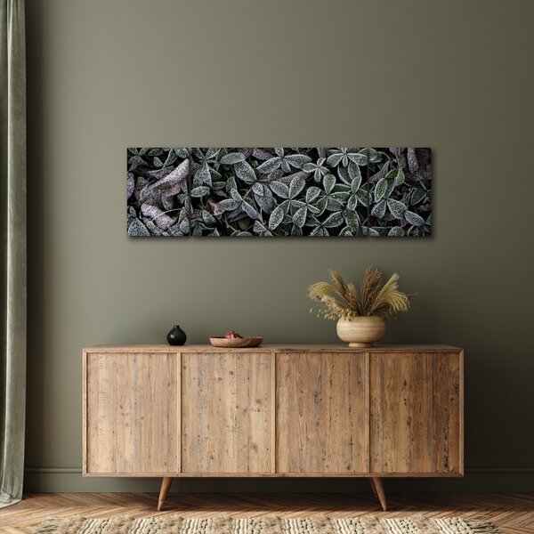 Obraz - Zmrzlé rostliny (170x50 cm)
