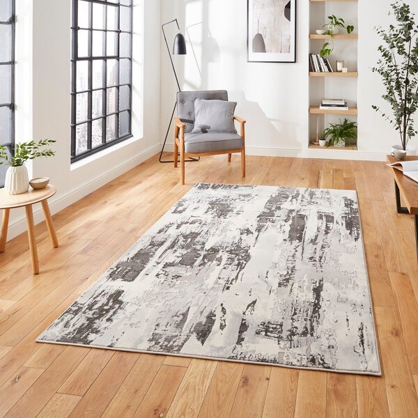 Šedý/béžový koberec 220x160 cm Apollo - Think Rugs