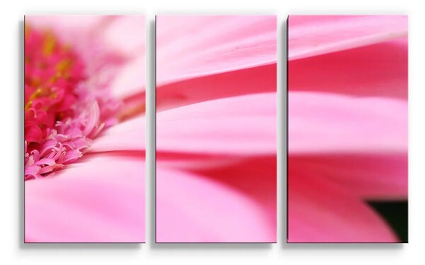 Sablio Obraz - 3-dílný Růžová gerbera - 120x80 cm