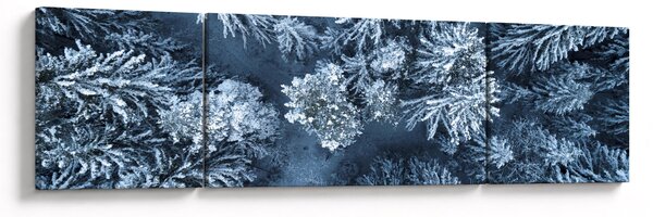 Obraz - Zasněžený les (170x50 cm)