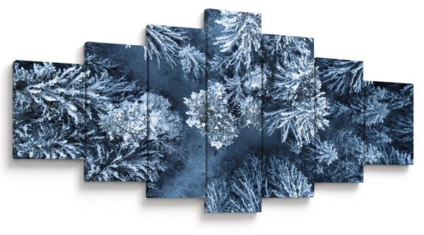 Obraz - Zasněžený les (210x100 cm)