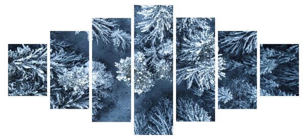 Obraz - Zasněžený les (210x100 cm)