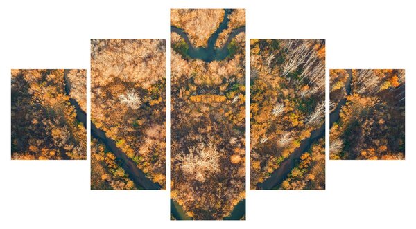 Obraz - Řeka ve tvaru srdce (125x70 cm)
