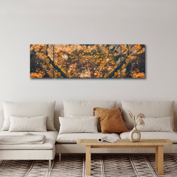 Obraz - Řeka ve tvaru srdce (170x50 cm)