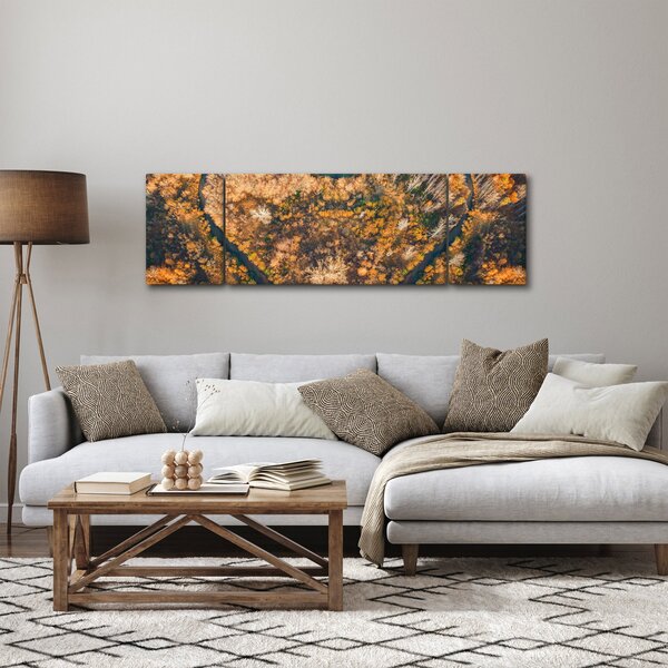 Obraz - Řeka ve tvaru srdce (170x50 cm)
