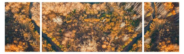 Obraz - Řeka ve tvaru srdce (170x50 cm)