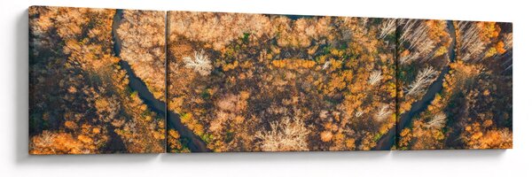 Obraz - Řeka ve tvaru srdce (170x50 cm)