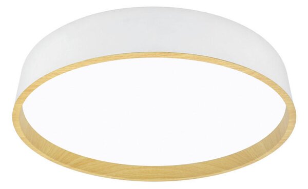 STROPNÍ LED SVÍTIDLO, 40/8 cm - Stropní svítidla