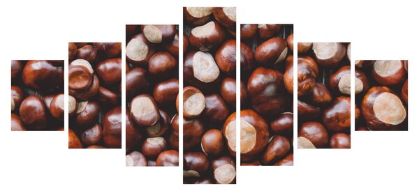 Obraz - Zralé kaštany (210x100 cm)