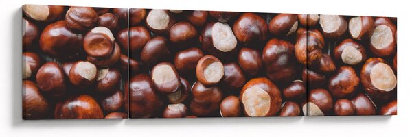 Obraz - Zralé kaštany (170x50 cm)